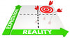 Synthetic Ice Tiles: Expectations vs. Reality