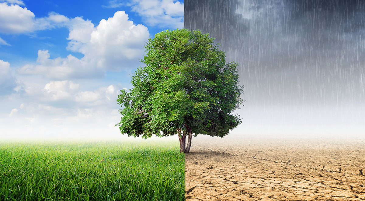 Can Synthetic Ice Go Outside and Withstand the Weather PolyGlide Ice