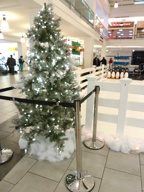 Portable Synthetic Ice - Holiday Event Rink Packages – PolyGlide Ice